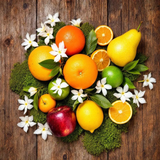 Fresh citrus fruits and flowers arranged on wood representing Another 13 dupe body spray fragrance notes