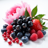 Fresh mixed berries and pink flower representing Burberry Her dupe roll-on perfume scent notes by Sultry Scents