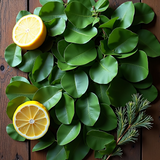 Fresh and clean smelling foaming hand soap ingredients with green leaves lemon halves and pine branch