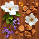White magnolia flowers, purple blossoms, amber resin, and wood pieces representing Mojave Ghost body spray dupe fragrance notes