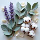 Odor Eliminating Clean cotton Room Spray by Sultry Scents with fresh cotton and floral botanical elements