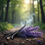 Smokey Vanilla Lavender Roll On - Guilty as Sin fragrance oil with vanilla pods and lavender flowers in a forest setting