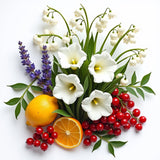 Floral and citrus ingredients representing Libre dupe perfume oil by Sultry Scents with white flowers, lavender, orange, and red berries