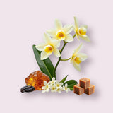 Vanilla 28 dupe body spray fragrance notes with vanilla flowers, amber, and brown sugar cubes by Sultry Scents